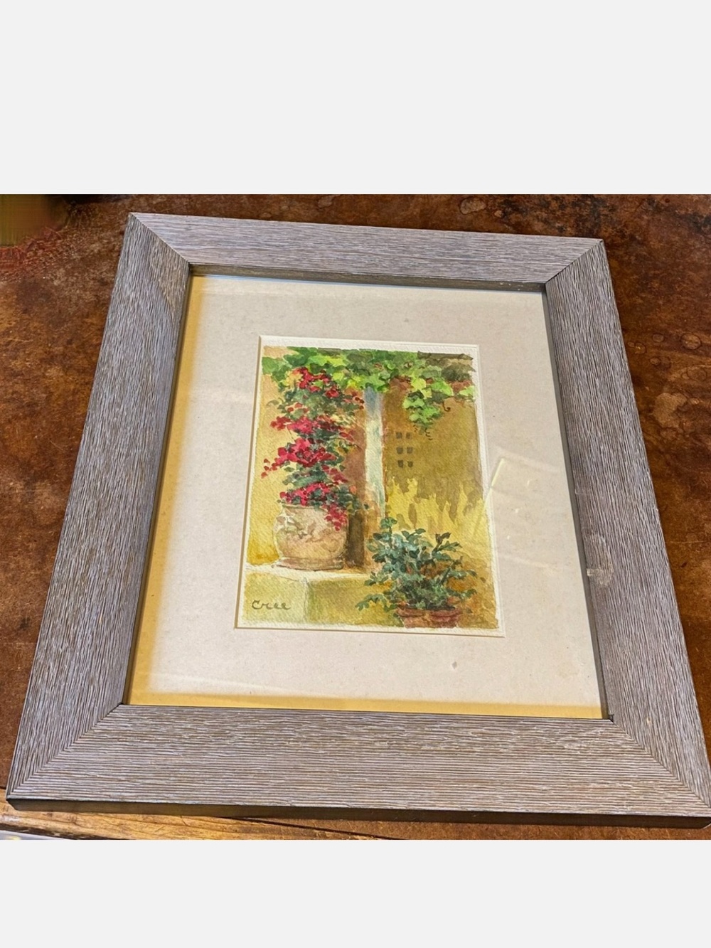 Watercolor Painting Bougainvillea Flowers Napa California Mediterranean Tuscany